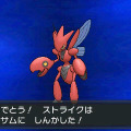 ポケモンセンター&トイザらスで、ゲンガーとハッサムが貰える『ポケットモンスター  Ｘ・Ｙ』クリスマス交換会が実施決定