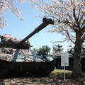 陸上自衛隊土浦駐屯地で戦車と一緒にお花見をしてきた