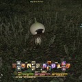 PS4で『FF XIV: 新生エオルゼア』ってどうなの？実際のSSと動画で紹介