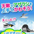 『ペンギンフライ』