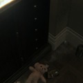 【攻略】『P.T.』配信から24時間経過するも、攻略は確立されず…一方、約13分でクリアする強者も