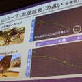 【CEDEC 2014】アップコンバートの為に最も必要なことは?～『モンハン3G HD Ver.』の事例