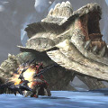 【MH4G特集】ハンターたちを待ち受ける「オオナズチ」や「ウカムルバス」、「戦闘街」を紹介