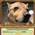 ゲームにあなたの愛犬が登場！？〜『スヌーピーの愛犬DS』、ペットの写真を募集