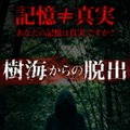 樹海の実写を使用したホラーアプリ『樹海からの脱出』配信開始！ミステリー小説のような脱出ゲーム