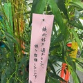 「傷物語」秋葉原で七夕イベント　神谷浩史、坂本真綾、花澤香菜らが願ったこととは？