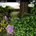 『ポケモンGO』開発者からのメッセージとともにゲーム情報が続々公開