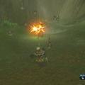 【特集】『ゼルダの伝説 BotW』勇者のためのライフハック！冒険がちょっと楽しくなる6項目