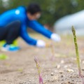 【特集】『エグリア』の精霊を喚び出すために北海道で朝採れアスパラを収穫してきた