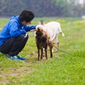 【特集】『エグリア』の精霊を喚び出すために北海道で朝採れアスパラを収穫してきた