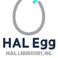 ハル研究所が新ブランド「HAL Egg」を立ち上げ―新規キャラクターによるゲームアプリを開発中