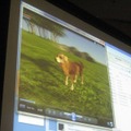 【GDC 2009】ピーター・モリニューが明かす「革新的でリスキーなアイデアを実現する方法」