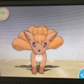 家族にしたいポケモン21選・前編！定番のポケモンから犬・猫系ポケモンも