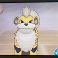 家族にしたいポケモン21選・前編！定番のポケモンから犬・猫系ポケモンも