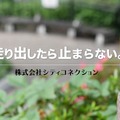 シティコネクション、ゼロディブを完全子会社化─彩京IPを活かす展開も視野に