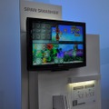 【E3 2009】任天堂&アートゥーン、モーションプラス対応の『Span Smasher』プレイレポート