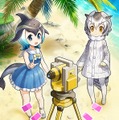 『けものフレンズ３』獲得経験値が大幅アップ！イベント「体力測定 デグー編」スタート─「1月体力測定しょうたい」ピックアップフォトを公開