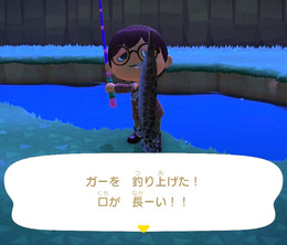 日本にも生息！？『あつまれ どうぶつの森』で釣れる「ガー」ってどんな魚？【平坂寛の『あつ森』博物誌】