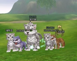 (c)2007 Gamania Digital Entertainment Co., Ltd. All Rights Reserved. (c)2006-2007 EASYFUN Entertainment Corp. All Rights Reserved.