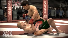 EA SPORTS 総合格闘技