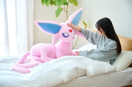 『ポケモン』エーフィ、ブラッキーの等身大ぬいぐるみ予約は6月16日まで！