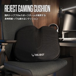 蒸し暑い夏も快適！プロeスポーツチーム監修の“冷感＆低反発”ゲーミングクッション【5,980円】