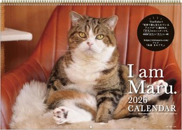 世界を魅了した「すべりこむ猫」まるちゃん　癒やし満載の2026年版カレンダーが登場！
