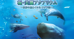 『極・美麗アクアリウム～世界の魚とイルカ・クジラ達～』サイトスクリーンショット