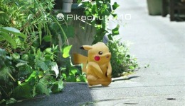 愛知県一宮市、『ポケモンGO』開発会社にシステム変更要望―「ポケGOながら運転」の死傷事件を受けて