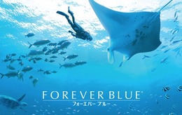 「Wii」発売10周年！名作『FOREVER BLUE』に思いを馳せる