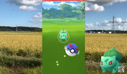 フシギダネ5,723匹分のデータから色違い出現率を徹底検証！【ポケモンGO 秋田局】