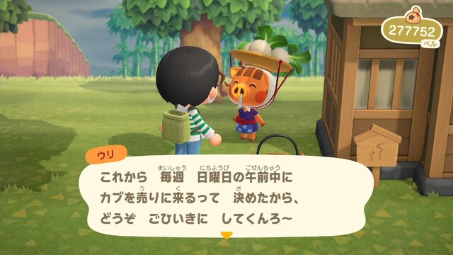 『あつまれ どうぶつの森』“カブ”であなたも億万長者!?　儲かる・便利・意外な使い道のあるカブ取引をはじめよう