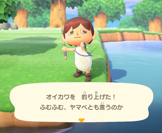 雑魚のくせして超キレイ！『あつまれ どうぶつの森』で釣れるオイカワってどんな魚？【平坂寛の『あつ森』博物誌】