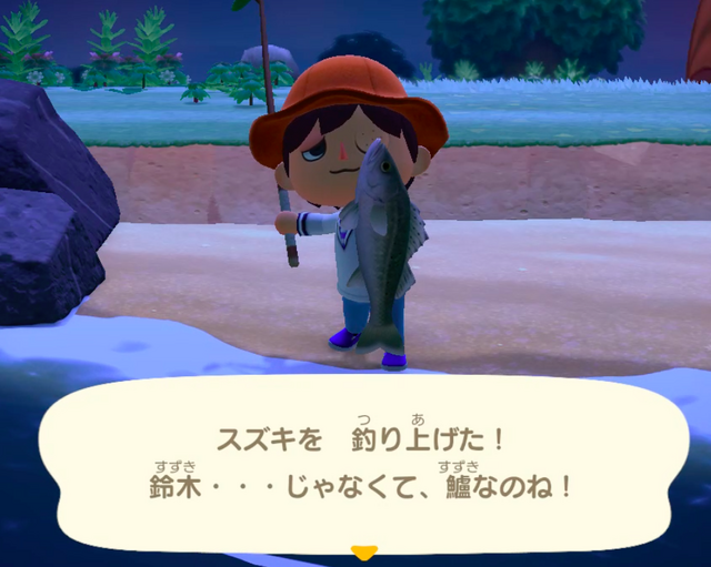 もういらない、なんて言わないで！『あつまれ どうぶつの森』で釣れまくる魚「スズキ」のイイところ【平坂寛の『あつ森』博物誌】