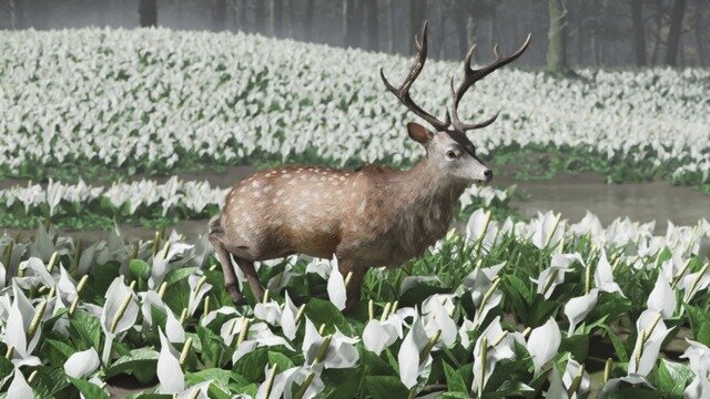 あなたは何種見つけた？―あつまれ 対馬の森『Ghost of Tsushima』の生き物図鑑