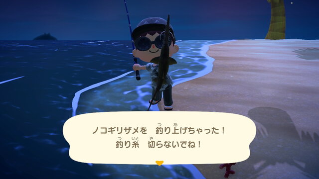 『あつまれ どうぶつの森』一晩全力で虫取り・魚釣りに挑んだら何ベル稼げるのか？ 高額生物に絞って離島ツアーで大儲け！