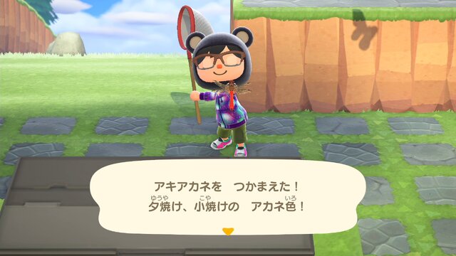 『あつまれ どうぶつの森』に秋がやってきた！ 島で見つかる“ちいさな秋”を10項目で紹介