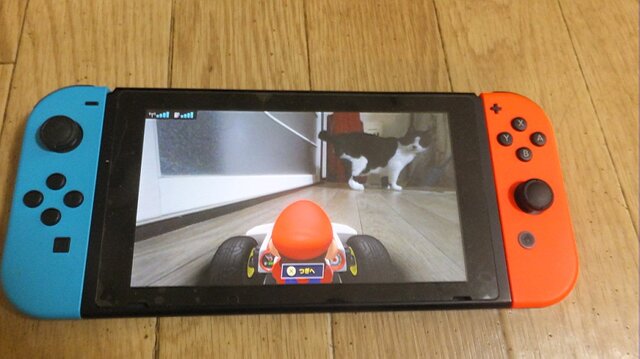 『マリオカート ライブ ホームサーキット』で飼い猫を眺めてみた！ 低視点がこれまでにない新鮮さを生み、猫はいつも通り気まぐれ・・・