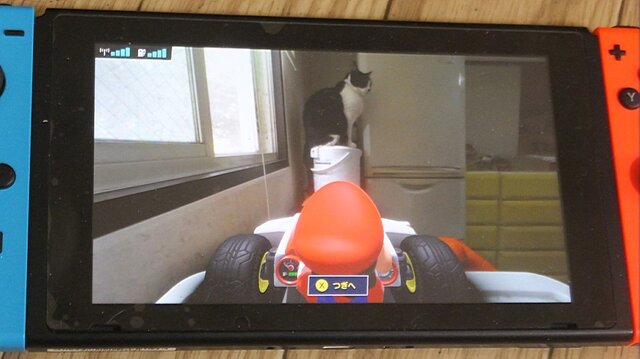 『マリオカート ライブ ホームサーキット』で飼い猫を眺めてみた！ 低視点がこれまでにない新鮮さを生み、猫はいつも通り気まぐれ・・・