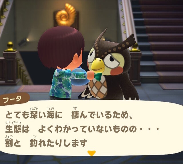 天変地異の前兆！？『あつまれ どうぶつの森』で釣れる「リュウグウノツカイ」ってどんな魚？【平坂寛の『あつ森』博物誌】