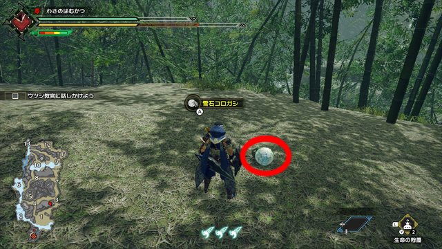 『モンハンライズ』過酷なフィールドで生き抜く環境生物に夢中！何気ない草木の影や足元には、まだ知らない世界が眠っている