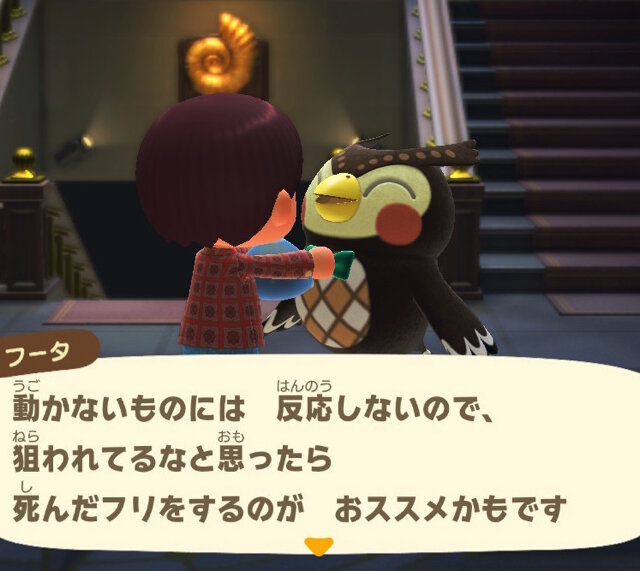 いつでもどこでも釣れるけど…『あつまれ どうぶつの森』の「ドンコ」ってどんな魚？【平坂寛の『あつ森』博物誌】