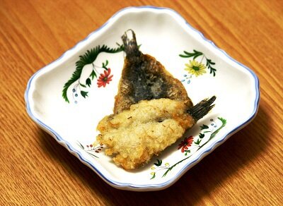 いつでもどこでも釣れるけど…『あつまれ どうぶつの森』の「ドンコ」ってどんな魚？【平坂寛の『あつ森』博物誌】