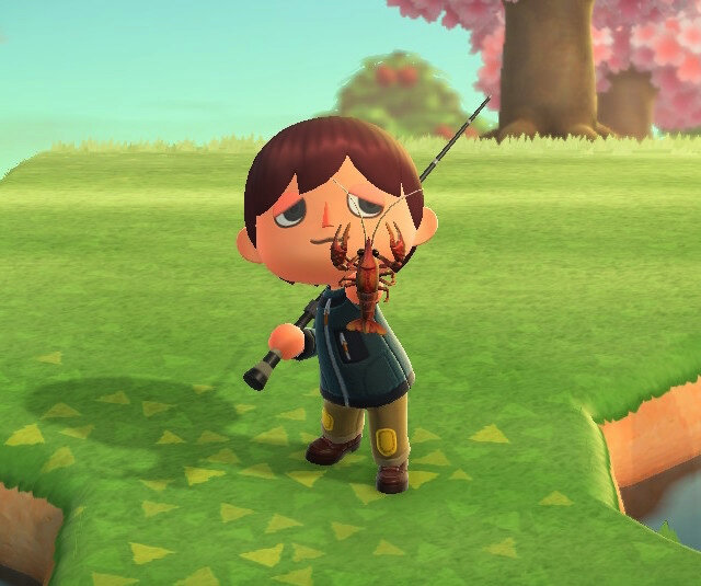 食べられます！『あつまれ どうぶつの森』で釣れる「ザリガニ」ってこんな生き物【平坂寛の『あつ森』博物誌】