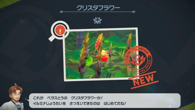 『New ポケモンスナップ』新ルート・レンティル海床で海中探検！あの頃感じた“発見の喜びと癒し”が令和の今、蘇る