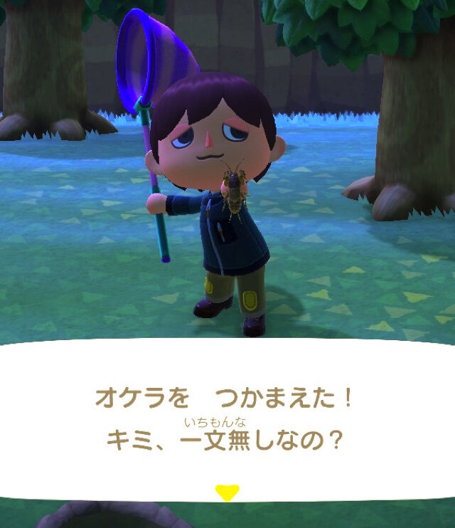 潜る、飛ぶ、泳ぐ、鳴く！『あつまれ どうぶつの森』で採れる「オケラ」ってどんな虫？【平坂寛の『あつ森』博物誌】