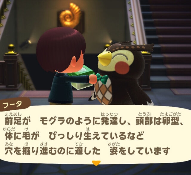 潜る、飛ぶ、泳ぐ、鳴く！『あつまれ どうぶつの森』で採れる「オケラ」ってどんな虫？【平坂寛の『あつ森』博物誌】