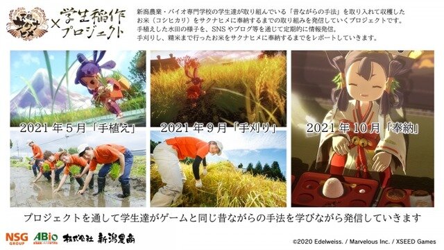 『天穂のサクナヒメ』の稲作を学生が実際に体験してレポートする「天穂のサクナヒメ × 学生稲作プロジェクト」2021年5月より開始