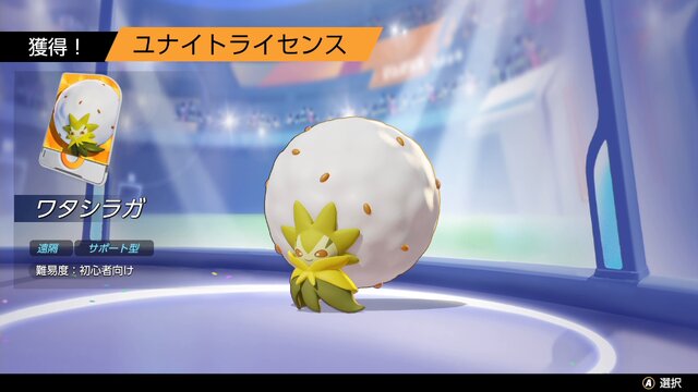 強い人は知っている！『ポケモンユナイト』勝利を掴む10のポイントーオプションにも重要な設定が