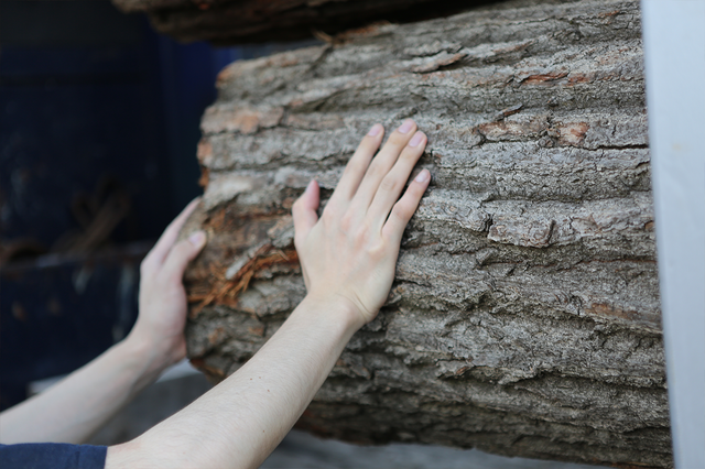 シリーズ最新作『スノーランナー』の運搬業務はどこまでリアル？老舗材木店の若大将に訊く“トラック乗りの心構え”